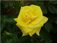 77db72d0-Picture 4220.jpg